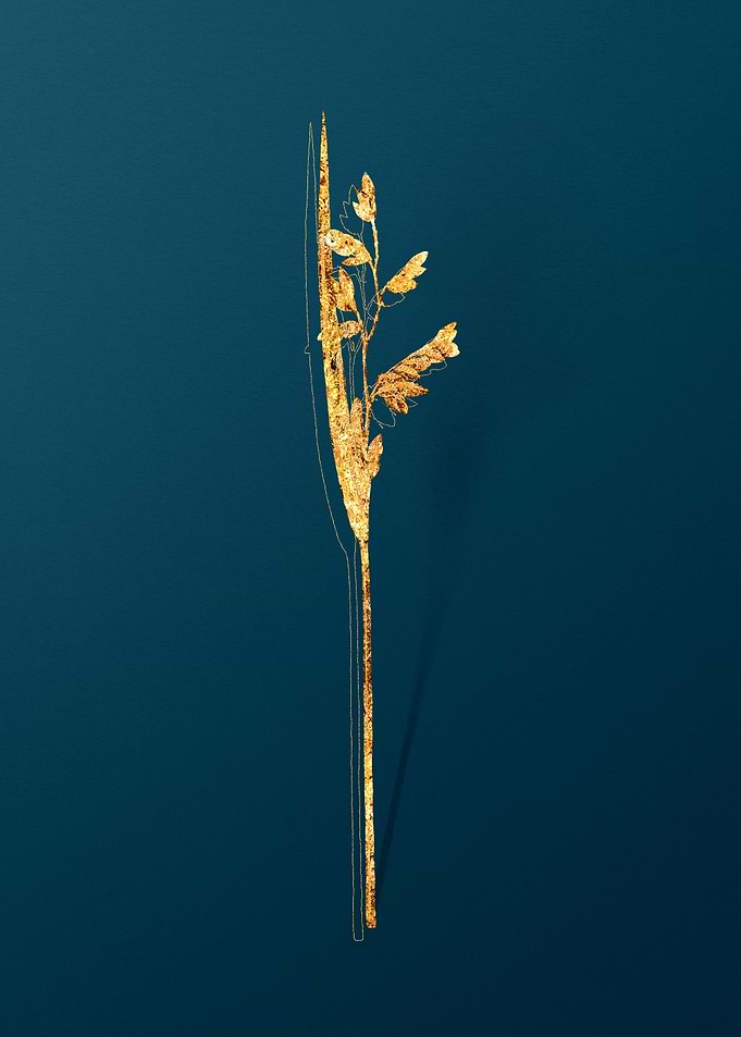 Vintage Botanicals in Gold