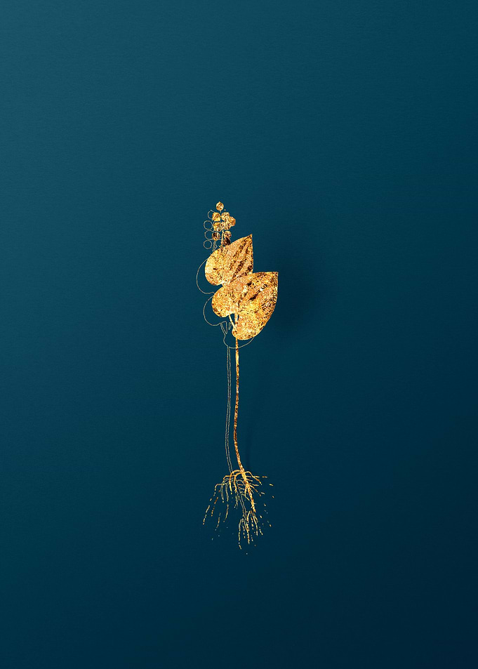 Gold Vintage Illustration
