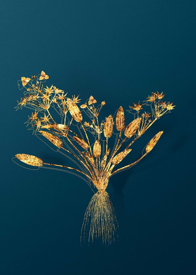 Vintage Flower Drawing
