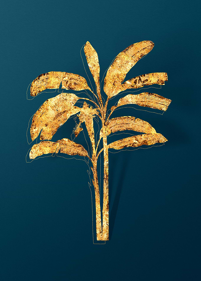 Gold Botanicals on Teal