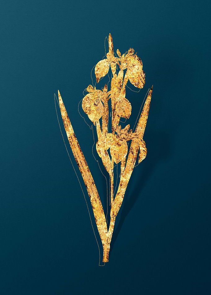 Vintage Botanical Drawing