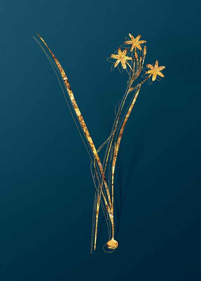 Gold Flower Illustration