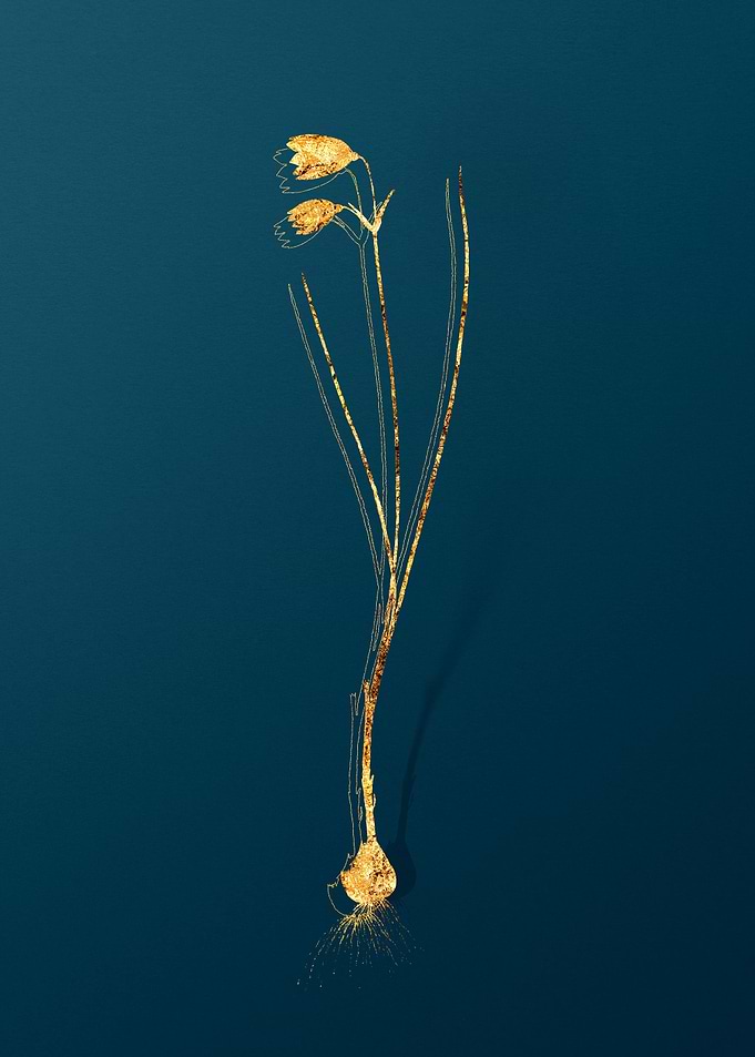 Vintage Plant Illustration