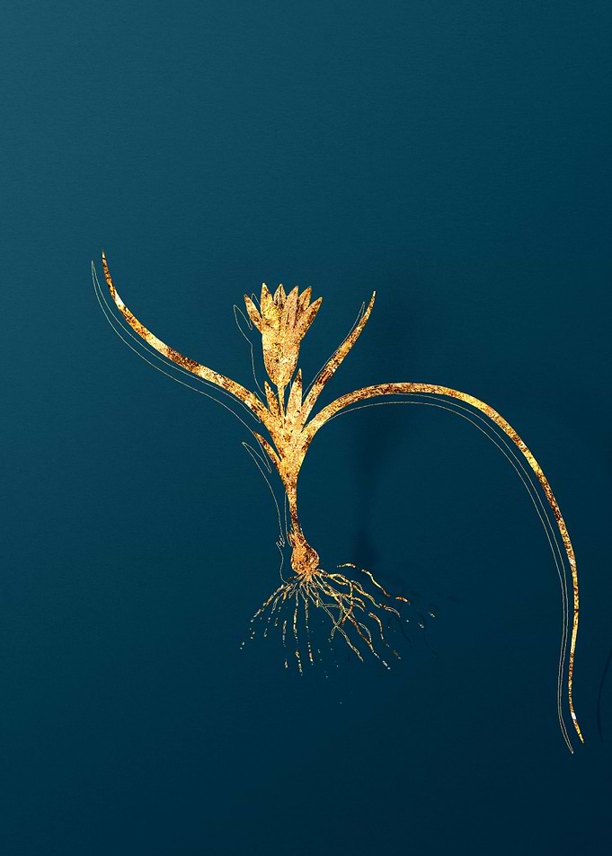 Gold Flower Illustration