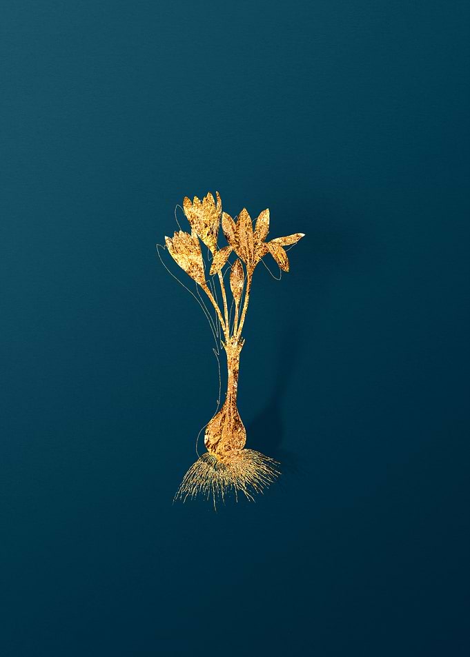 Gold Botanicals on Teal
