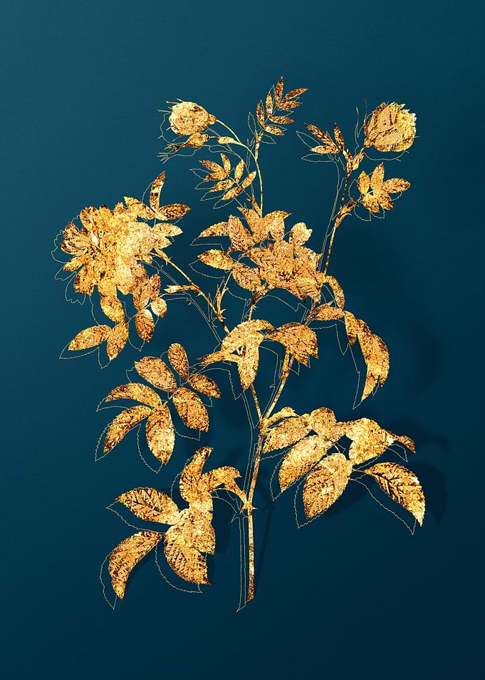Vintage Flower Drawing
