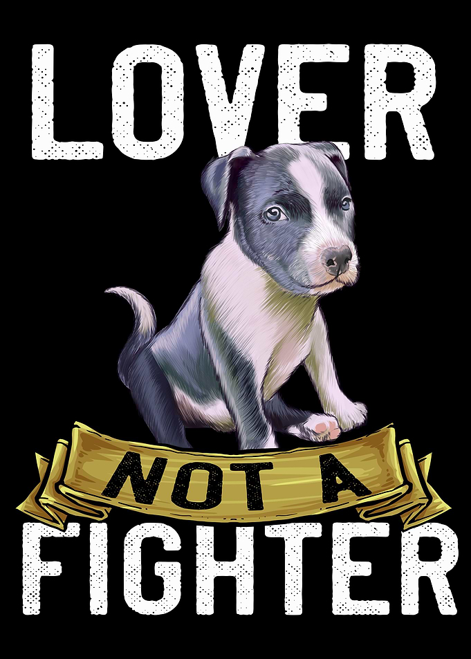 Pitbull Dog