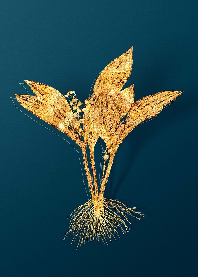 Gold Vintage Illustration