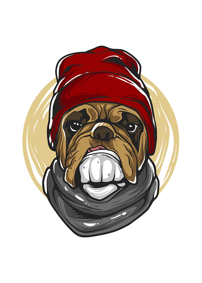 Hype pug dog