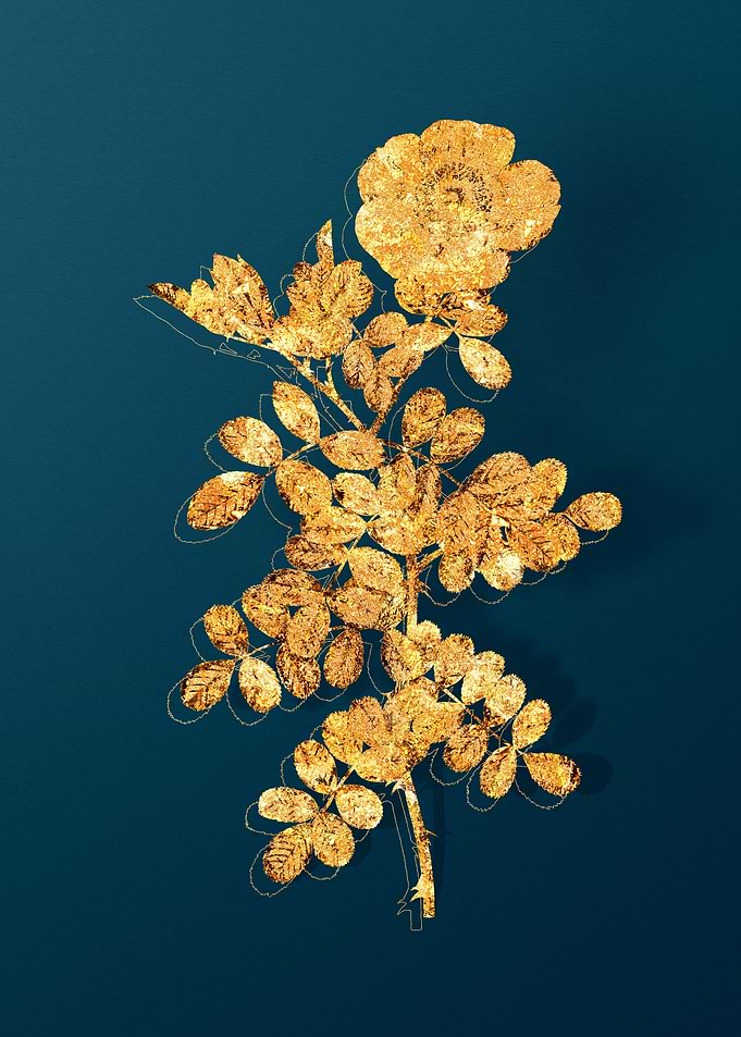 Gold Floral on Teal