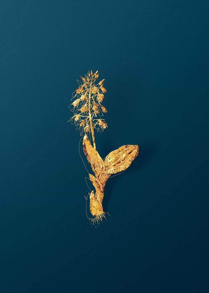 Gold Flower on Teal Blue