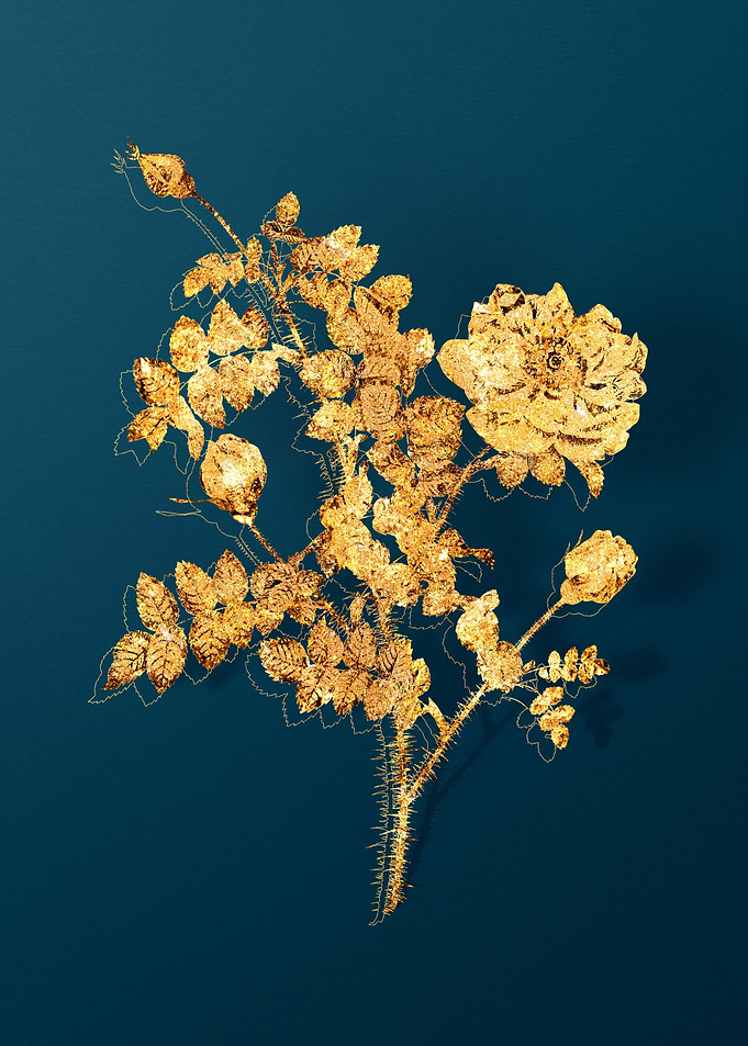 Gold and Teal Drawing
