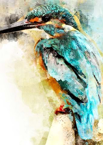 bird watercolor style