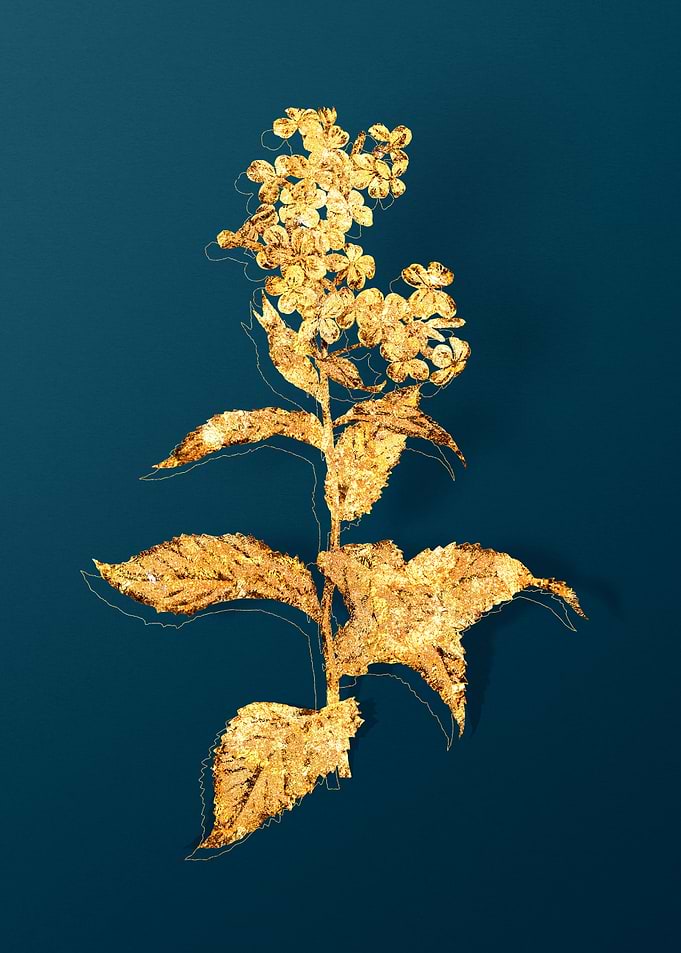 Gold and Teal Drawing