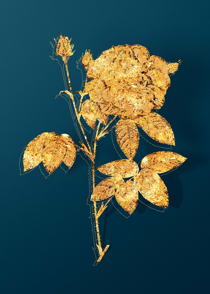 Gold Floral on Teal