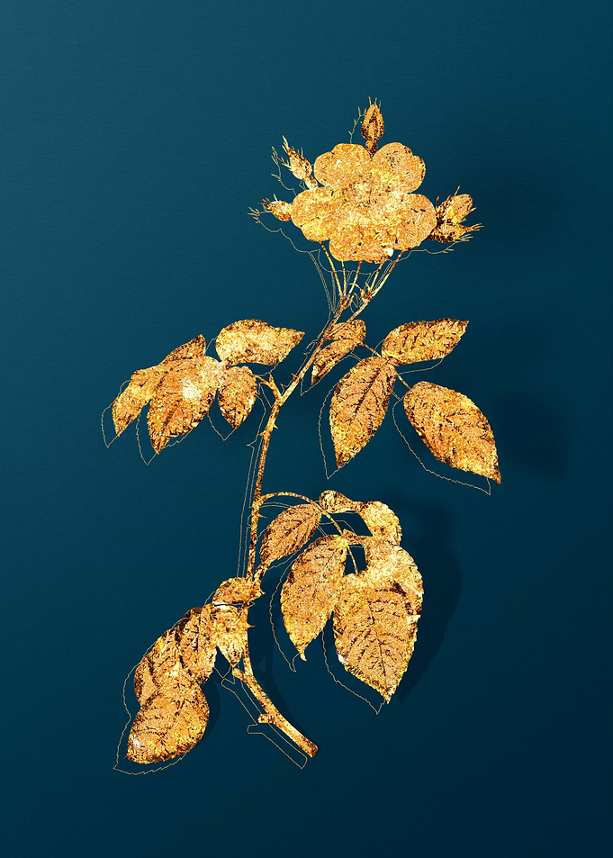 Gold Flower on Teal