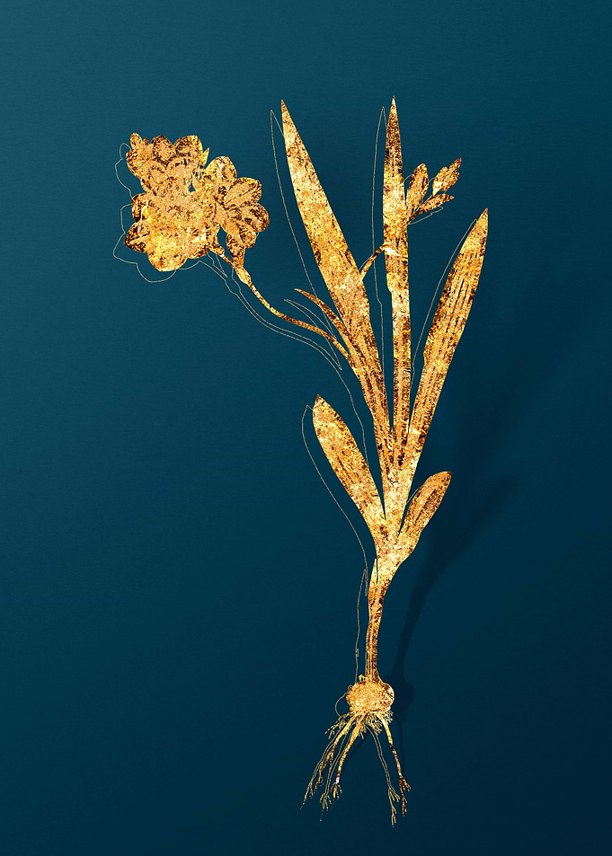 Gold Flower Illustration