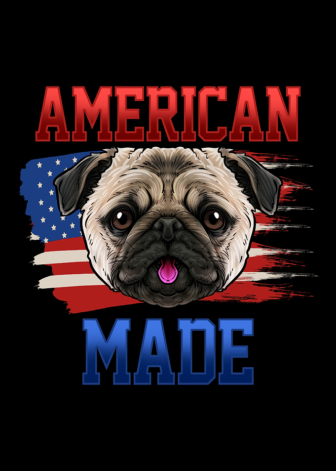 Funny Pug Dog