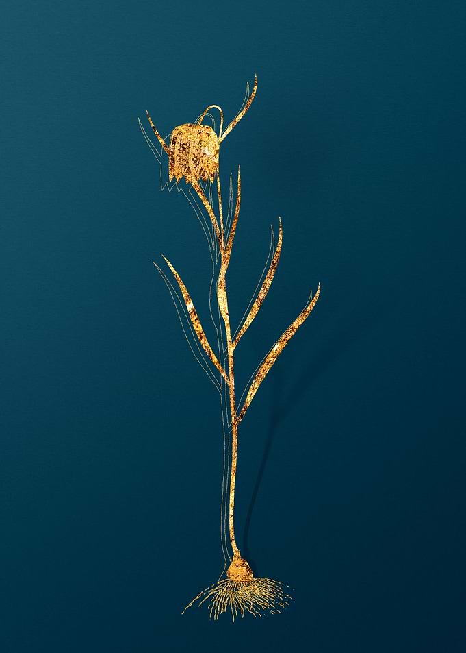 Gold Flower on Teal Blue