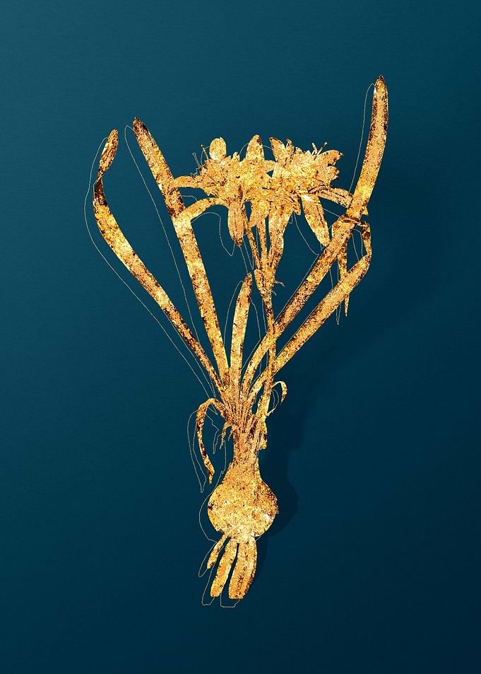 Gold Flower Illustration