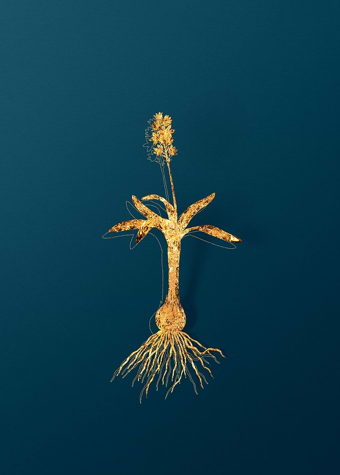 Gold Flower Illustration