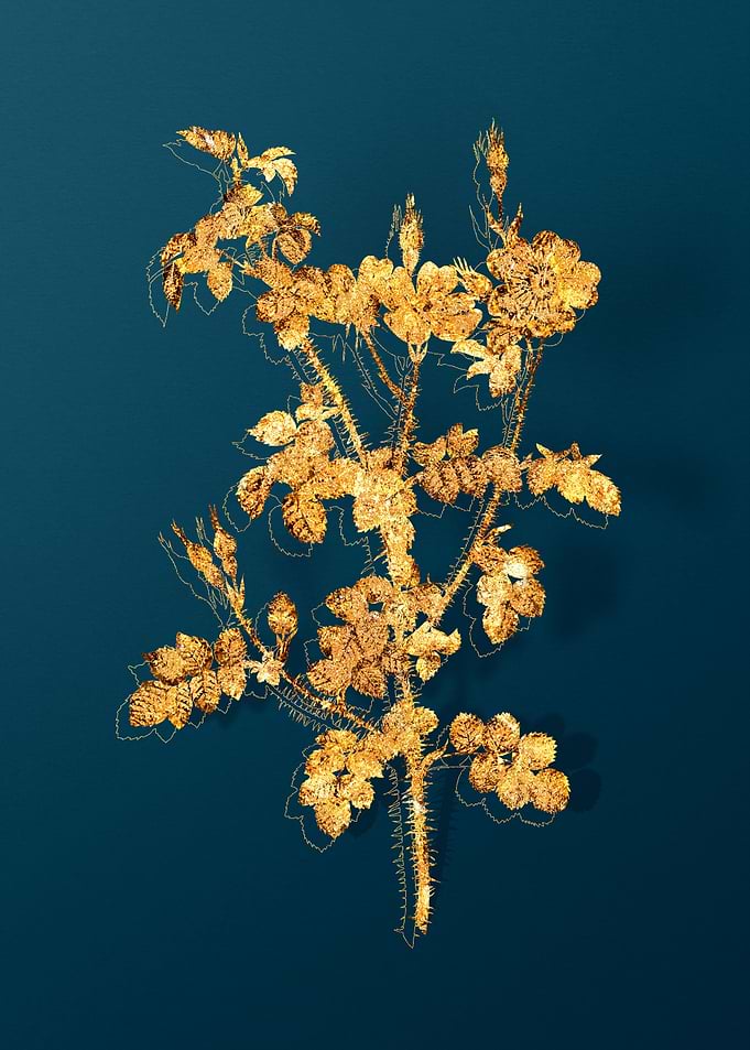 Vintage Botanicals in Gold