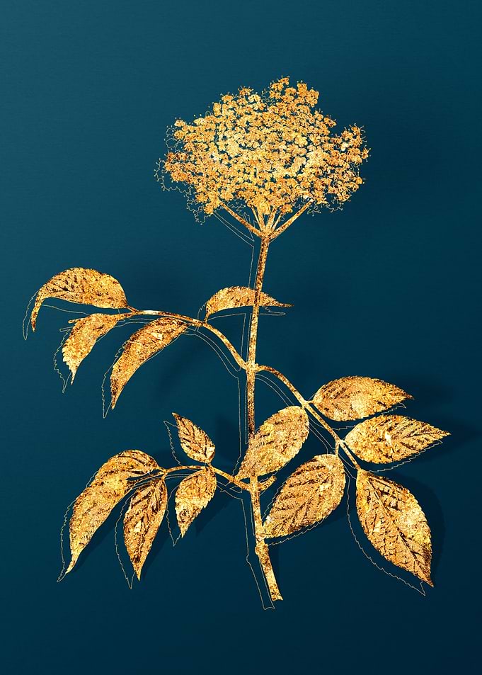 Gold Flowers on Teal