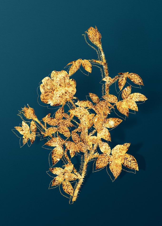 Gold Floral on Teal