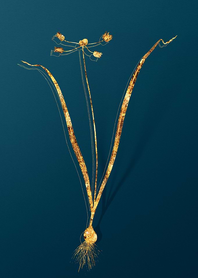 Gold Botanical on Teal