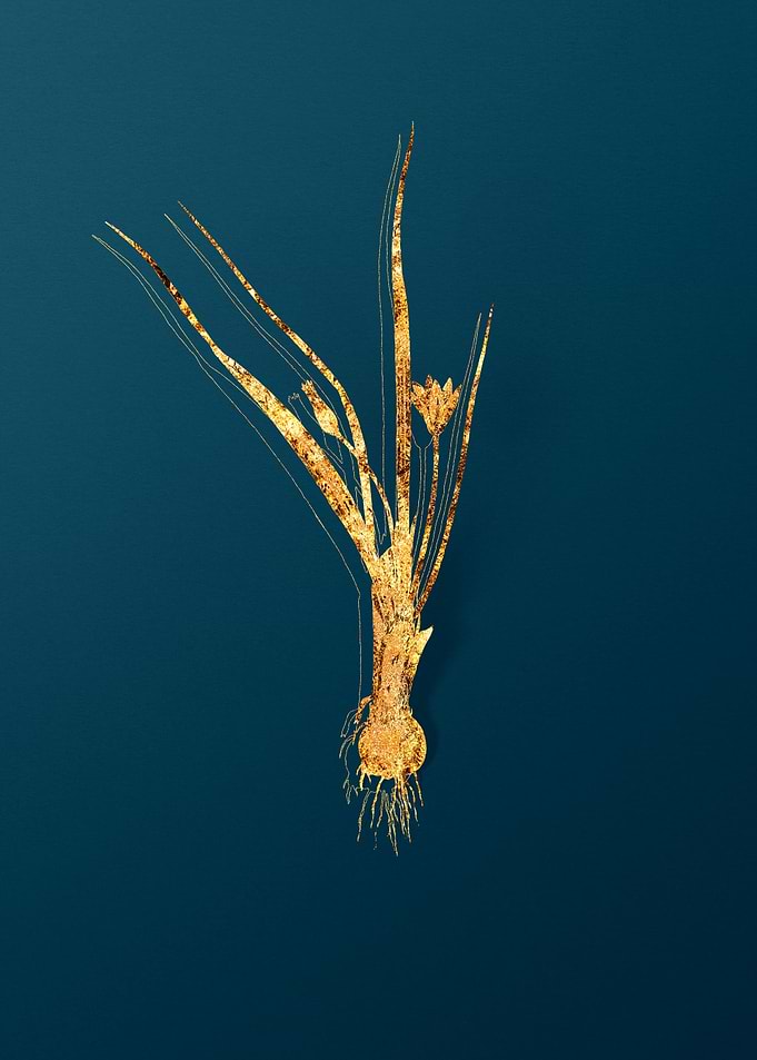 Gold and Teal Drawing