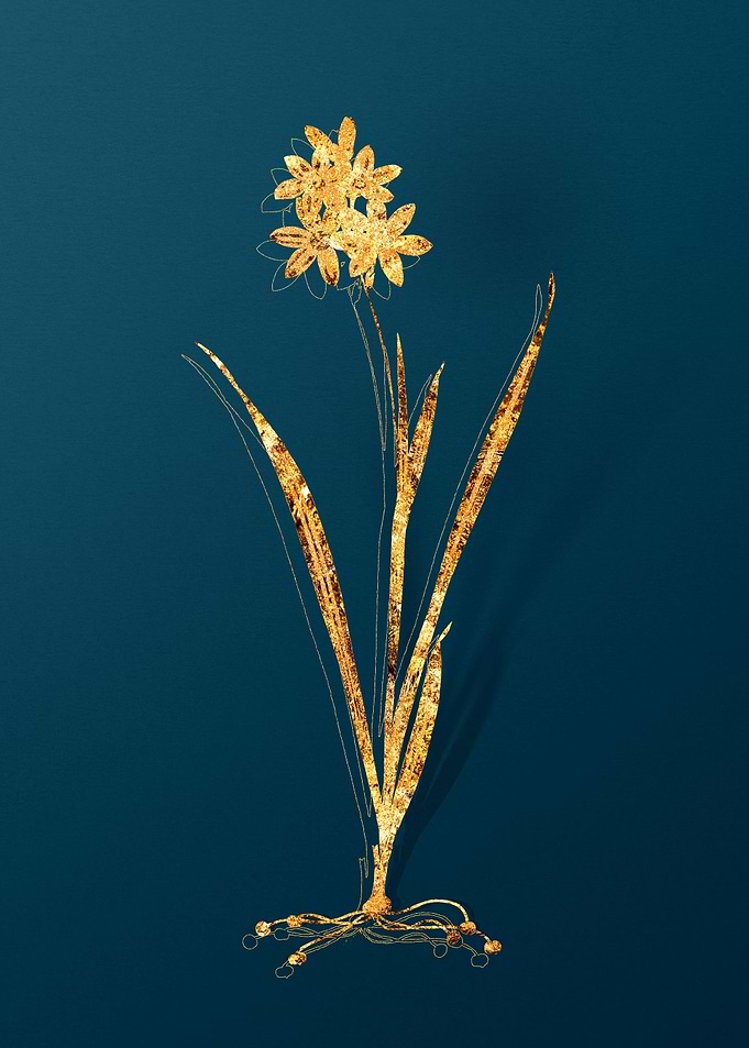 Gold Flower Illustration