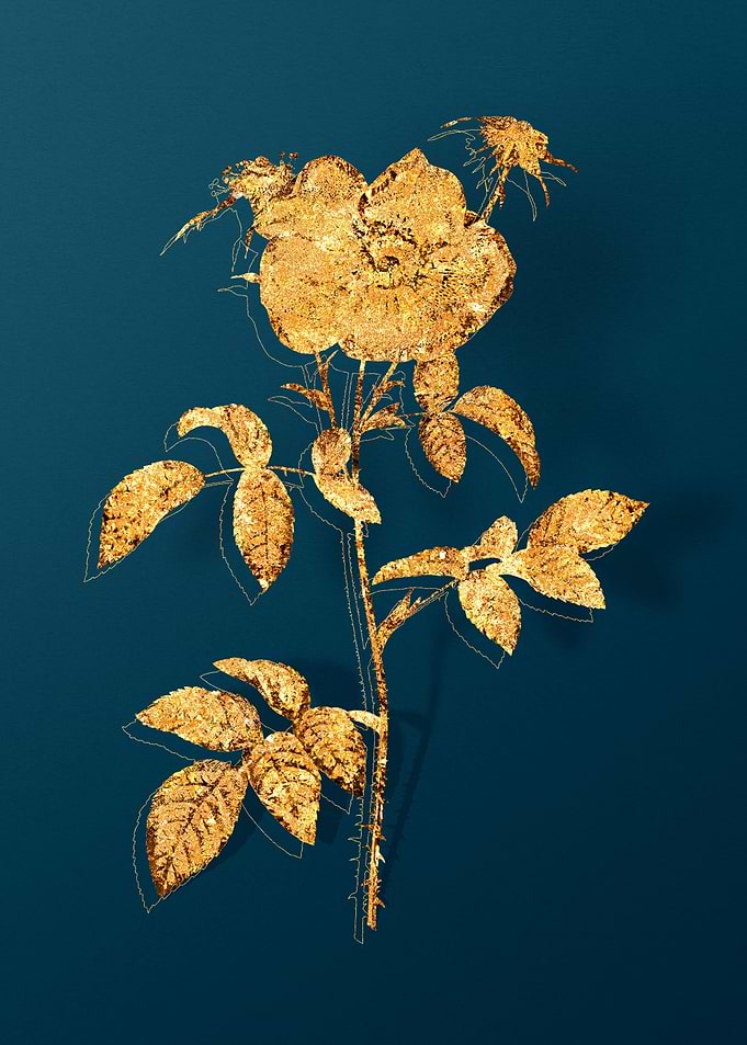 Vintage Flower Drawing