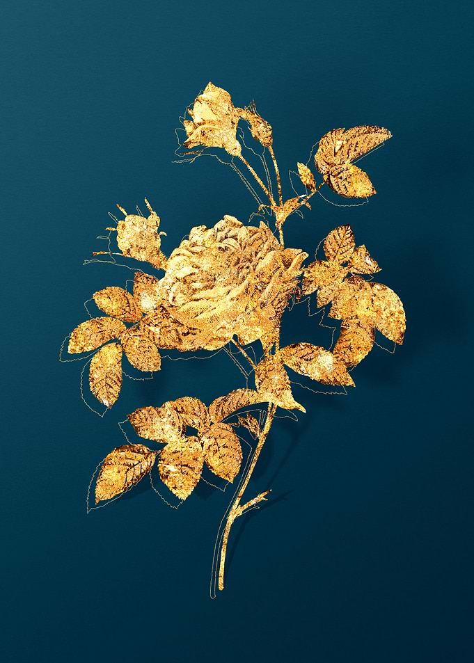 Vintage Flower Drawing