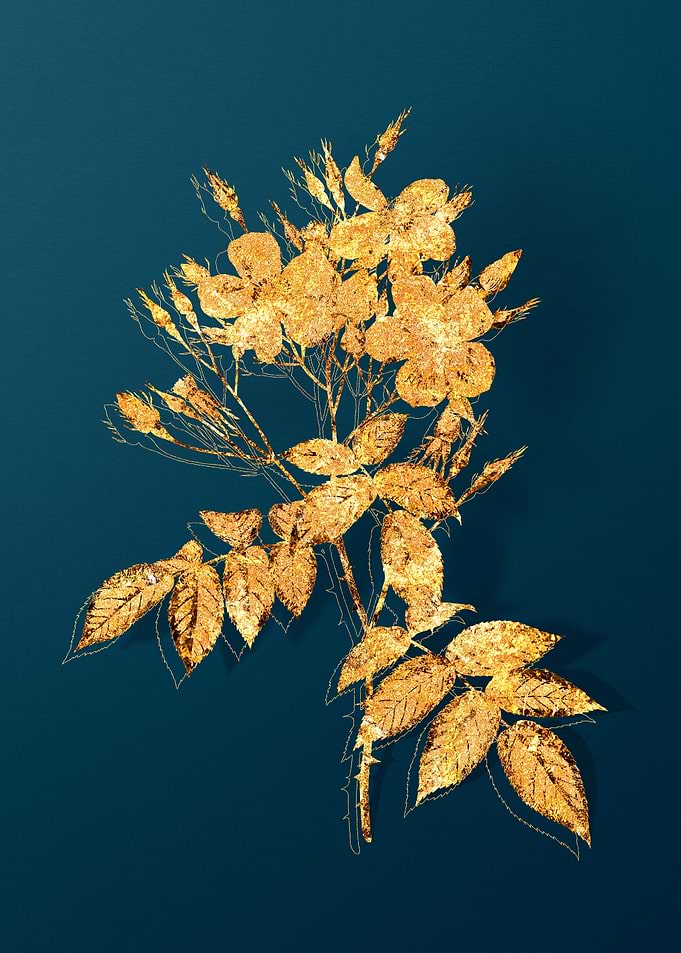 Gold Floral on Teal