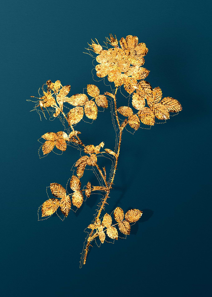 Vintage Botanicals in Gold