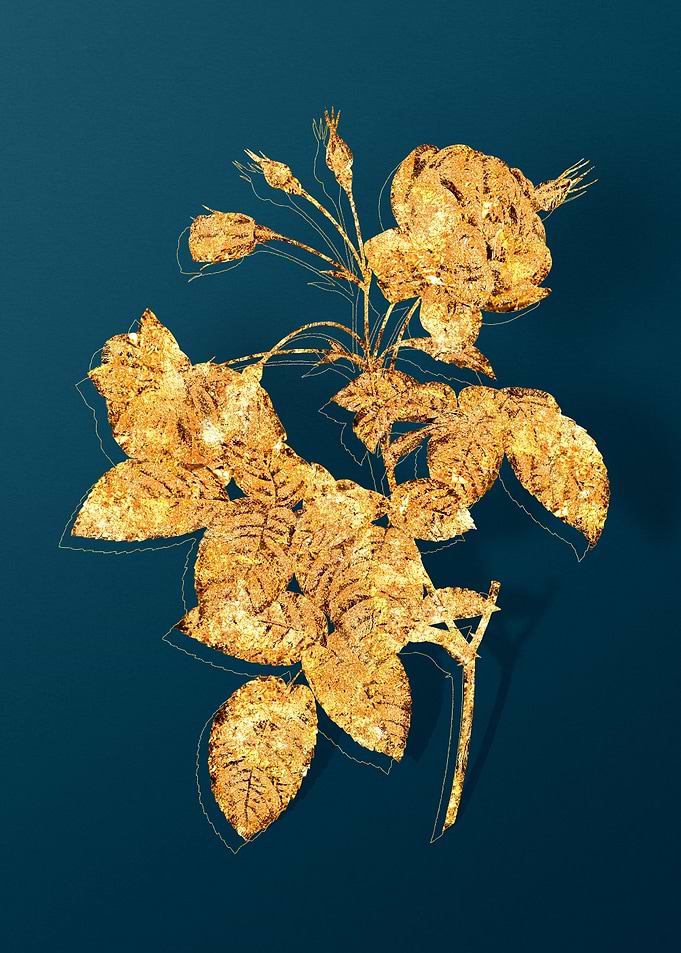 Gold Vintage Drawing Teal