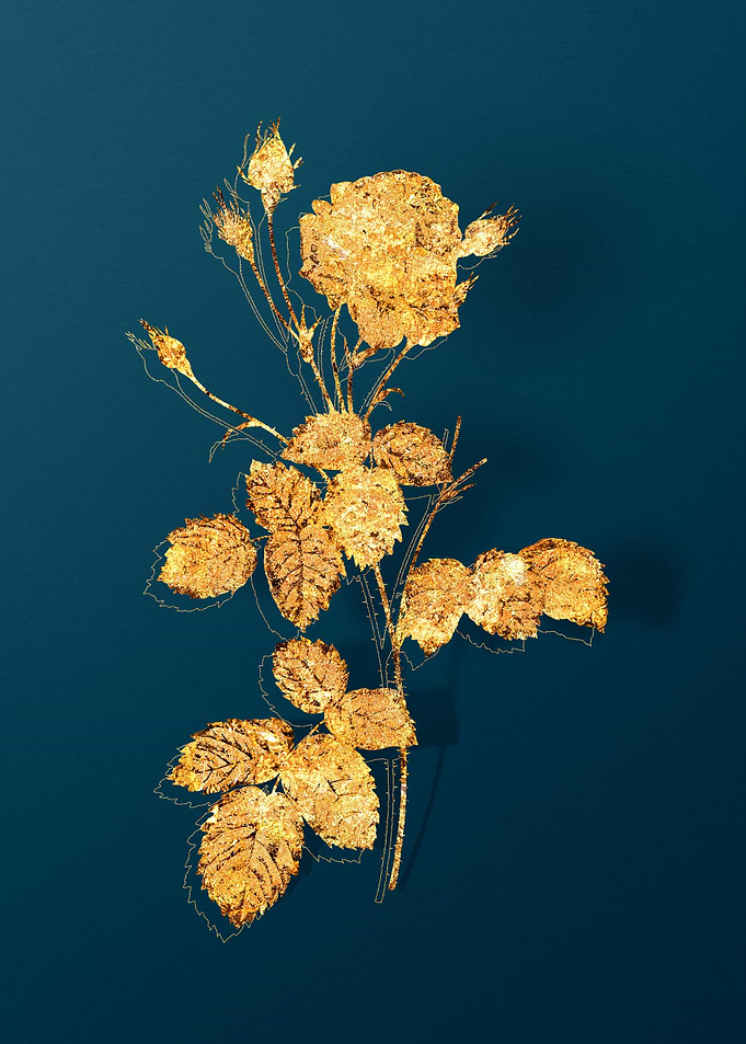 Gold Florals on Teal