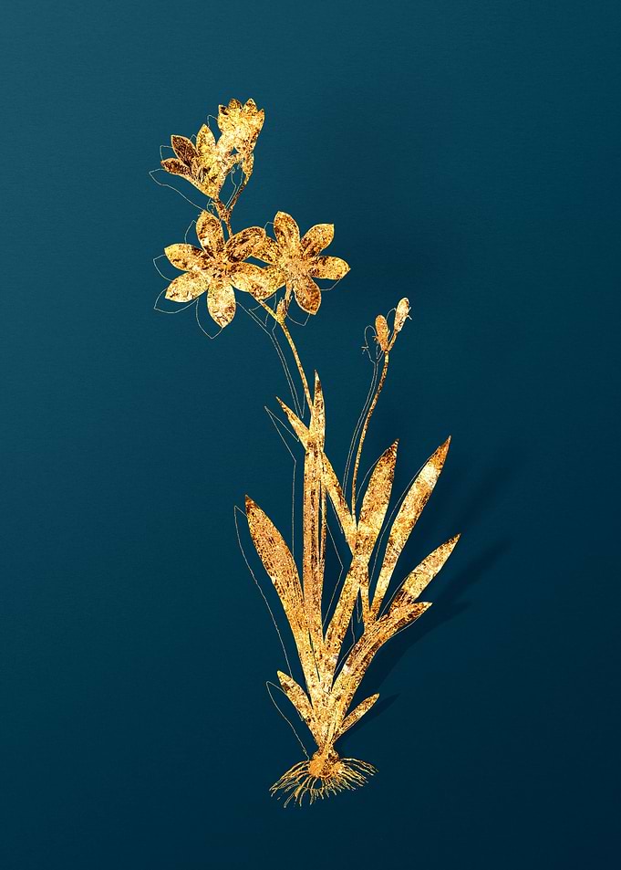 Gold Flower Illustration