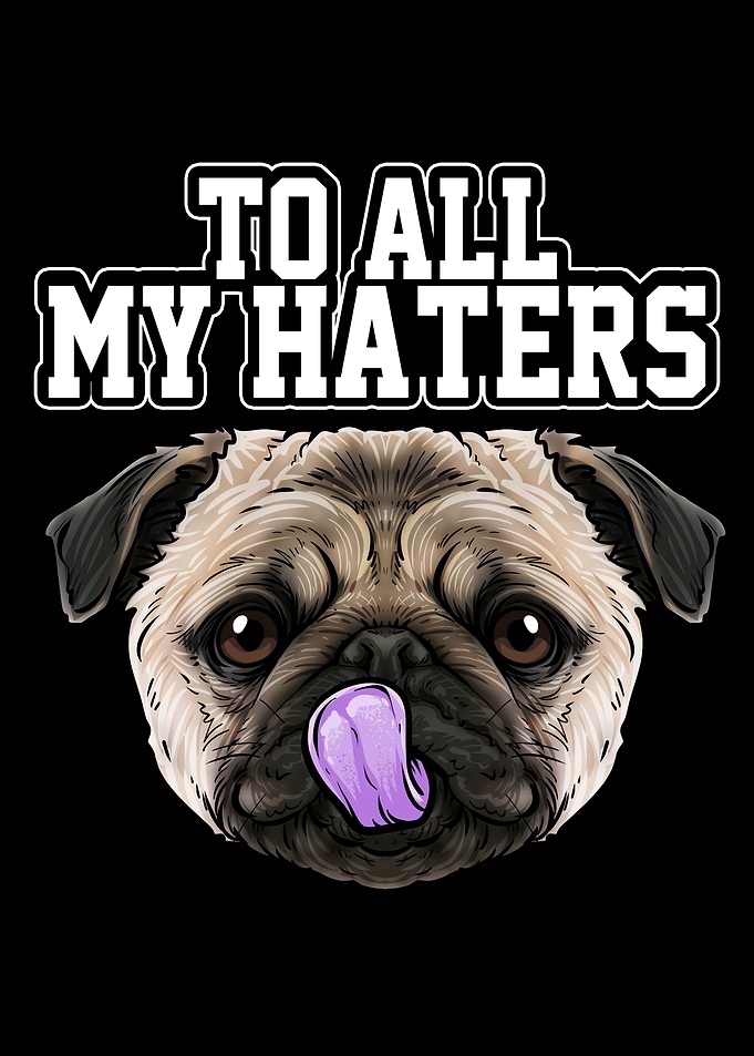 Funny Pug Dog