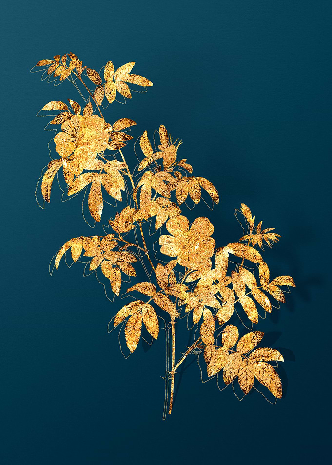Gold Floral on Teal