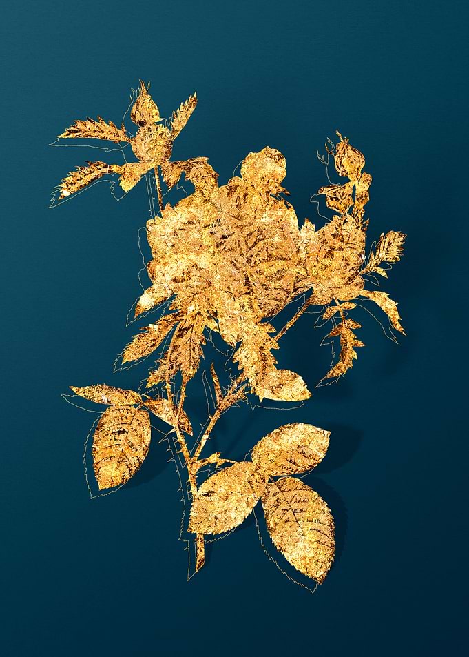 Vintage Flower Drawing