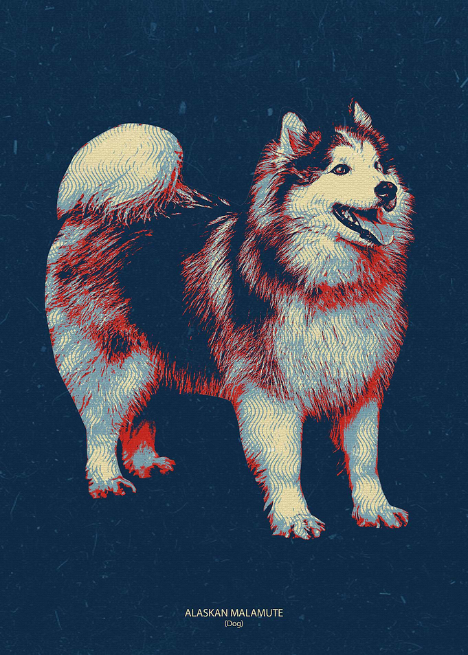 alaskan malamute