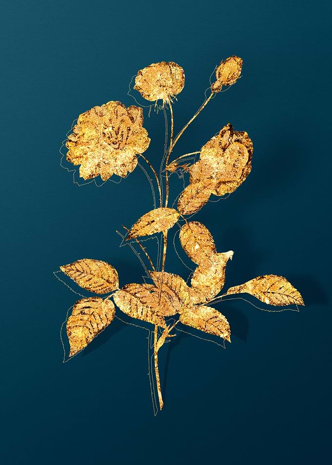 Vintage Flower Drawing
