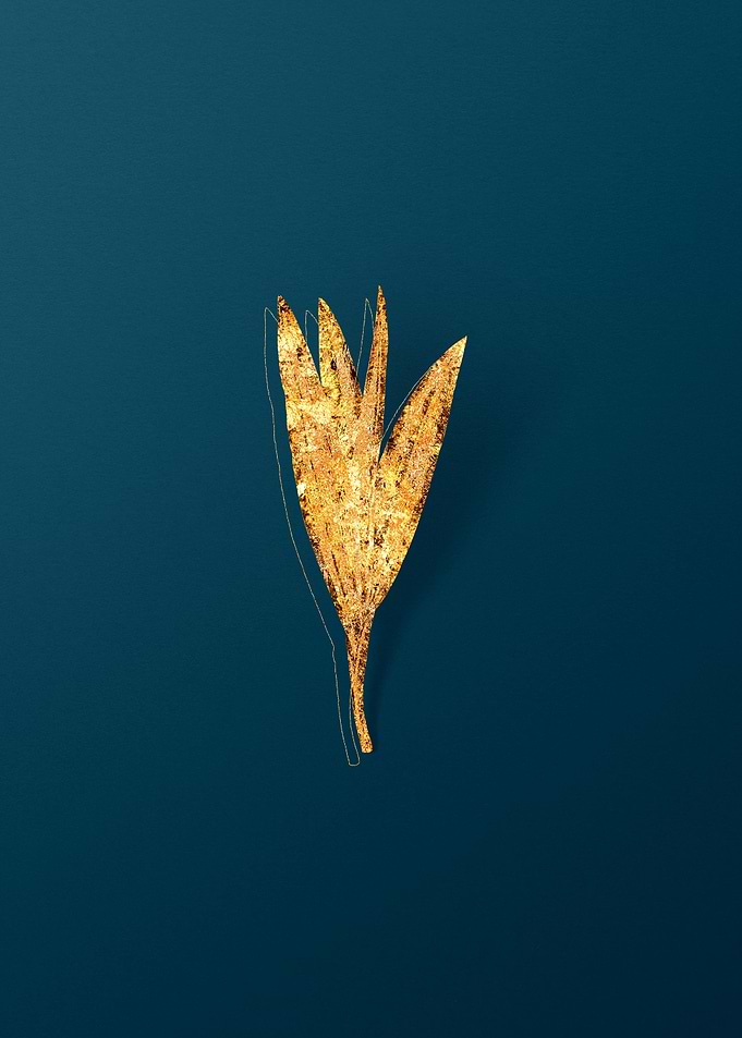 Gold Botanicals on Teal