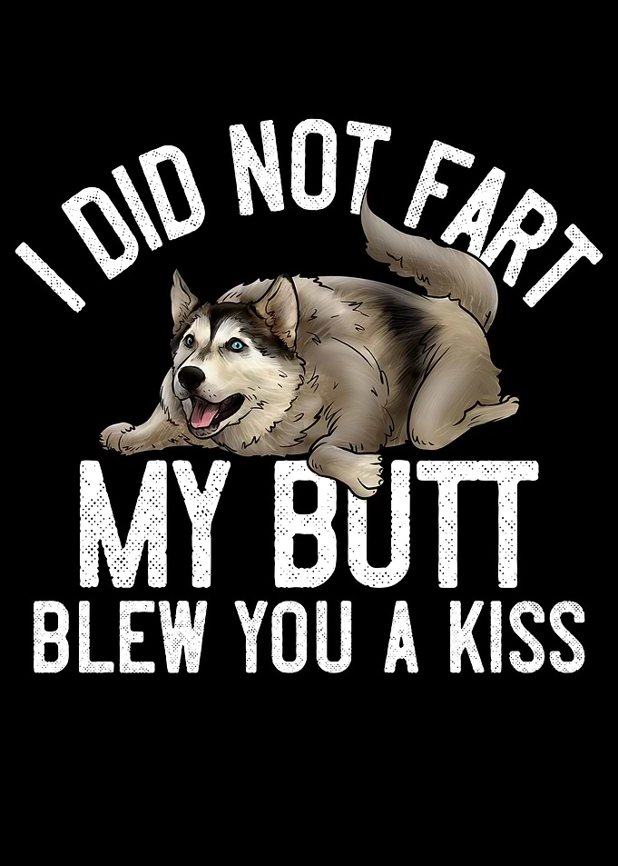 Funny Husky Dog