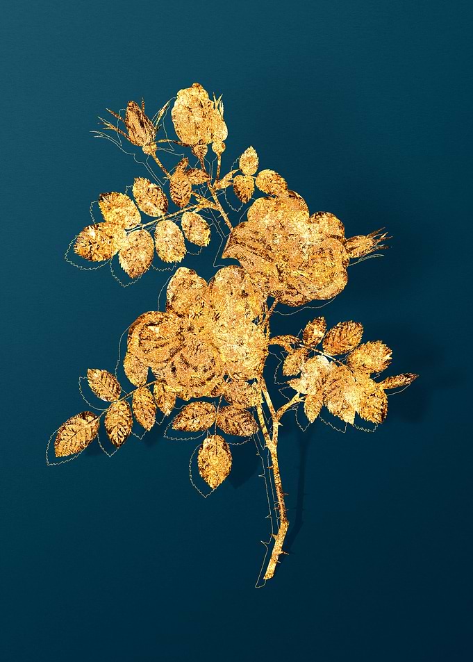 Gold Botanicals on Teal