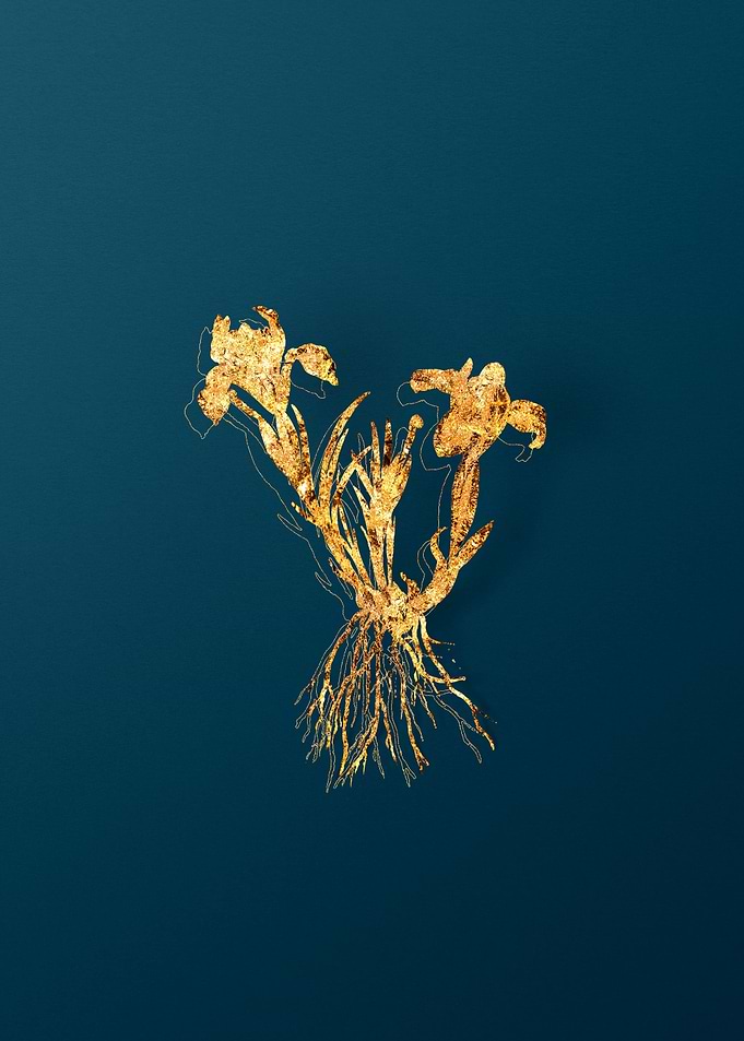Gold Floral Illustration