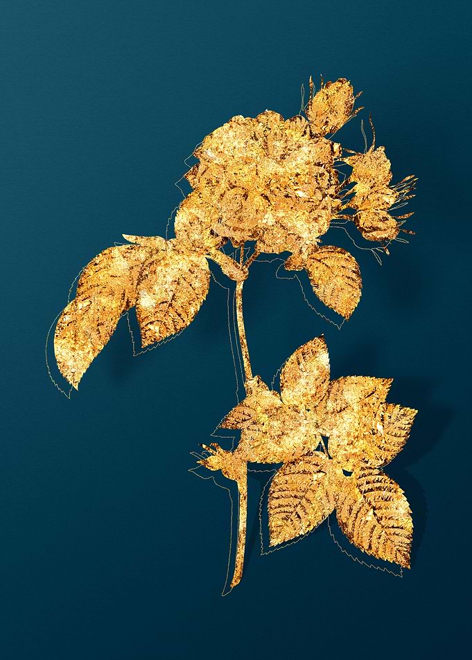 Vintage Flower Drawing