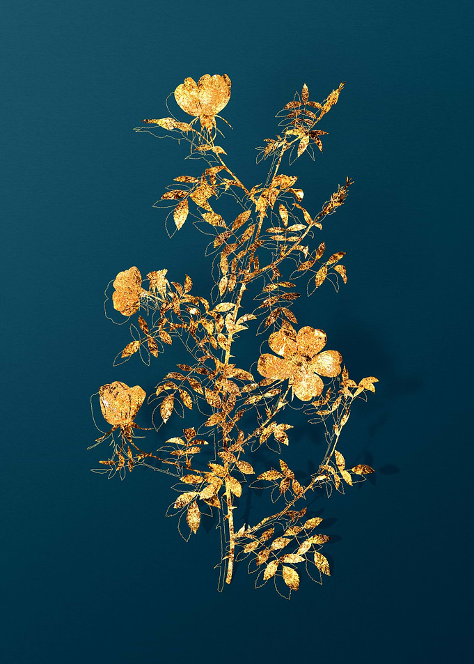 Gold Floral on Teal