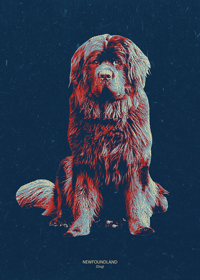 Newfoundland